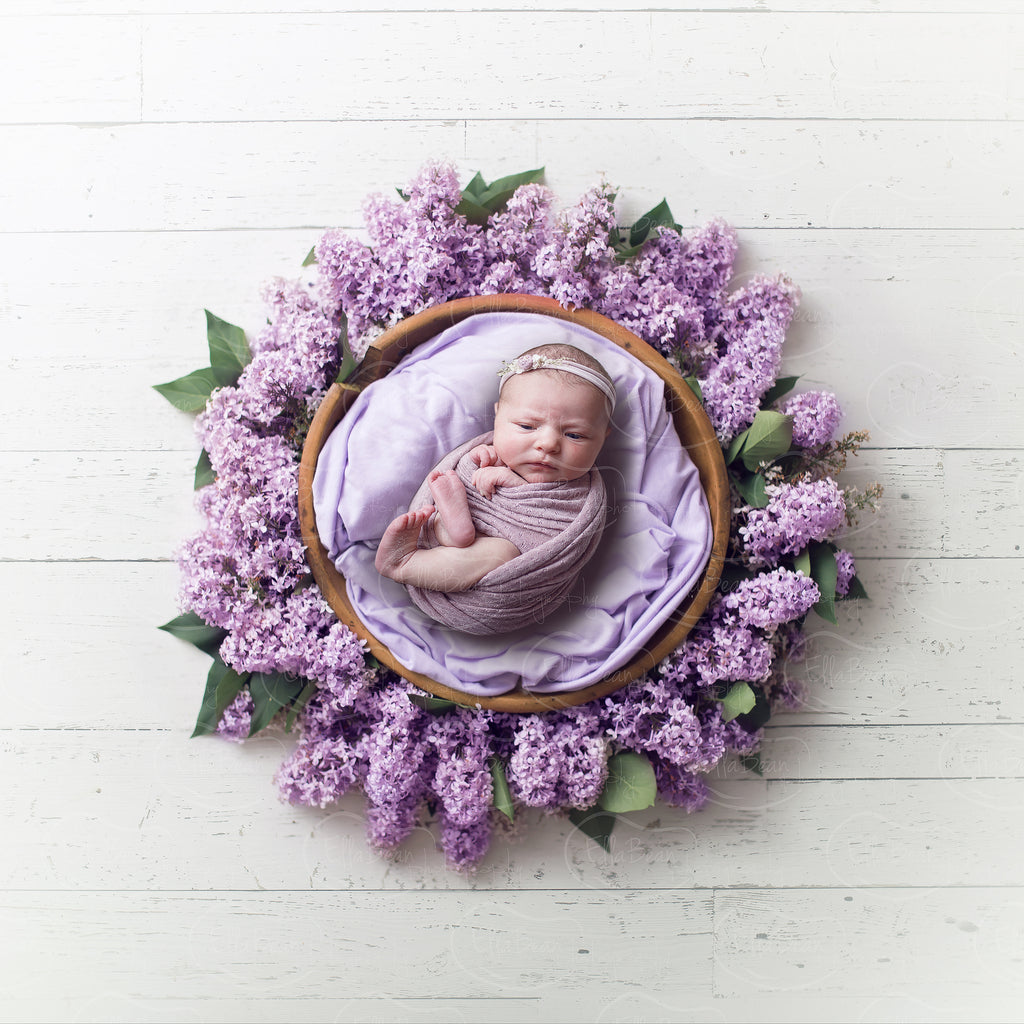 Lavandula Purple Bowl Digital Backdrop - Lilly Bear Studio Props, bowl, digital, digital backdrop, floral, greenery, lace, lilac, newborn digital backdrop, pink, purple, wood