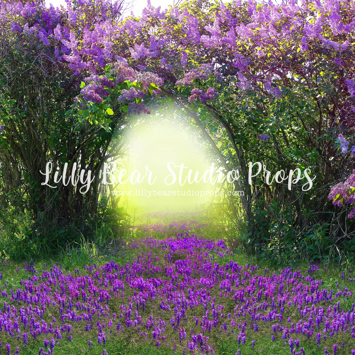 Lilac Path by Lilly Bear Studio Props sold by Lilly Bear Studio Props, archways - bunnies - bunny - cake smash - chevro