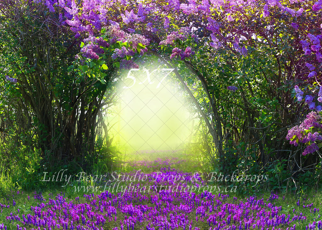 Lilac Path by Lilly Bear Studio Props sold by Lilly Bear Studio Props, archways - bunnies - bunny - cake smash - chevro