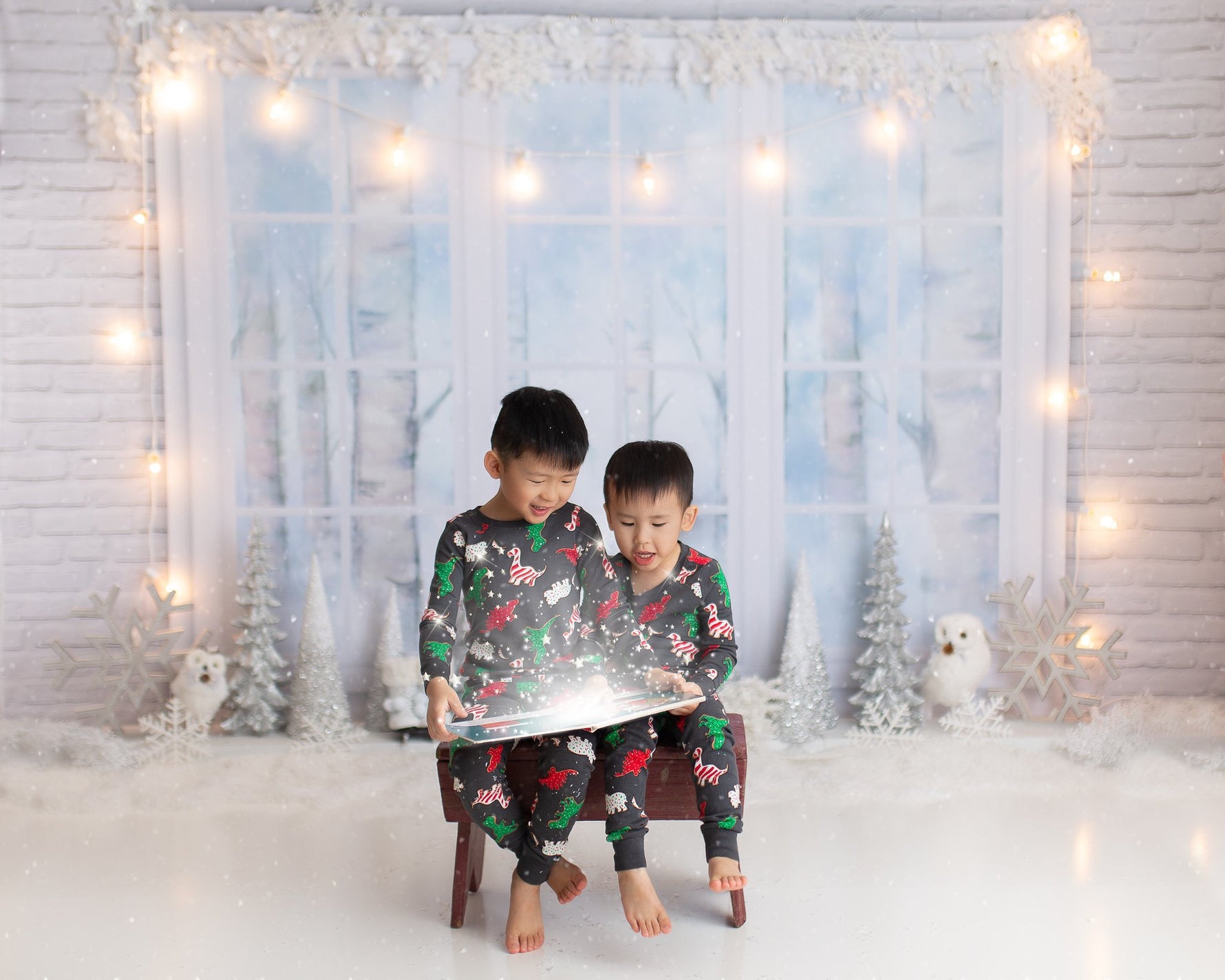 Magic Winter Window - Lilly Bear Studio Props, birch, birch window, christmas, christmas snow, christmas window, forest, owl, silver, silver trees, silver winter, snow, snow window, white owl, white winter, window, winter, winter trees, winter window, winter woodland, woodland