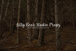 Mahuta Forest by Luisa Dunn - Lilly Bear Studio Props, autumn forest, bare trees, birch forest, dark forest, tall forest, tree forest, trees