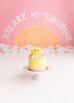 You Are My Sunshine by Meagan Paige Photography sold by Lilly Bear Studio Props, FABRICS - floral - girl - pink - pink