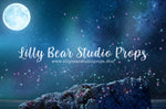 Mermaid Rock by Jessica Ruth Photography sold by Lilly Bear Studio Props, ariel - coral reef - disney - FABRICS - fish