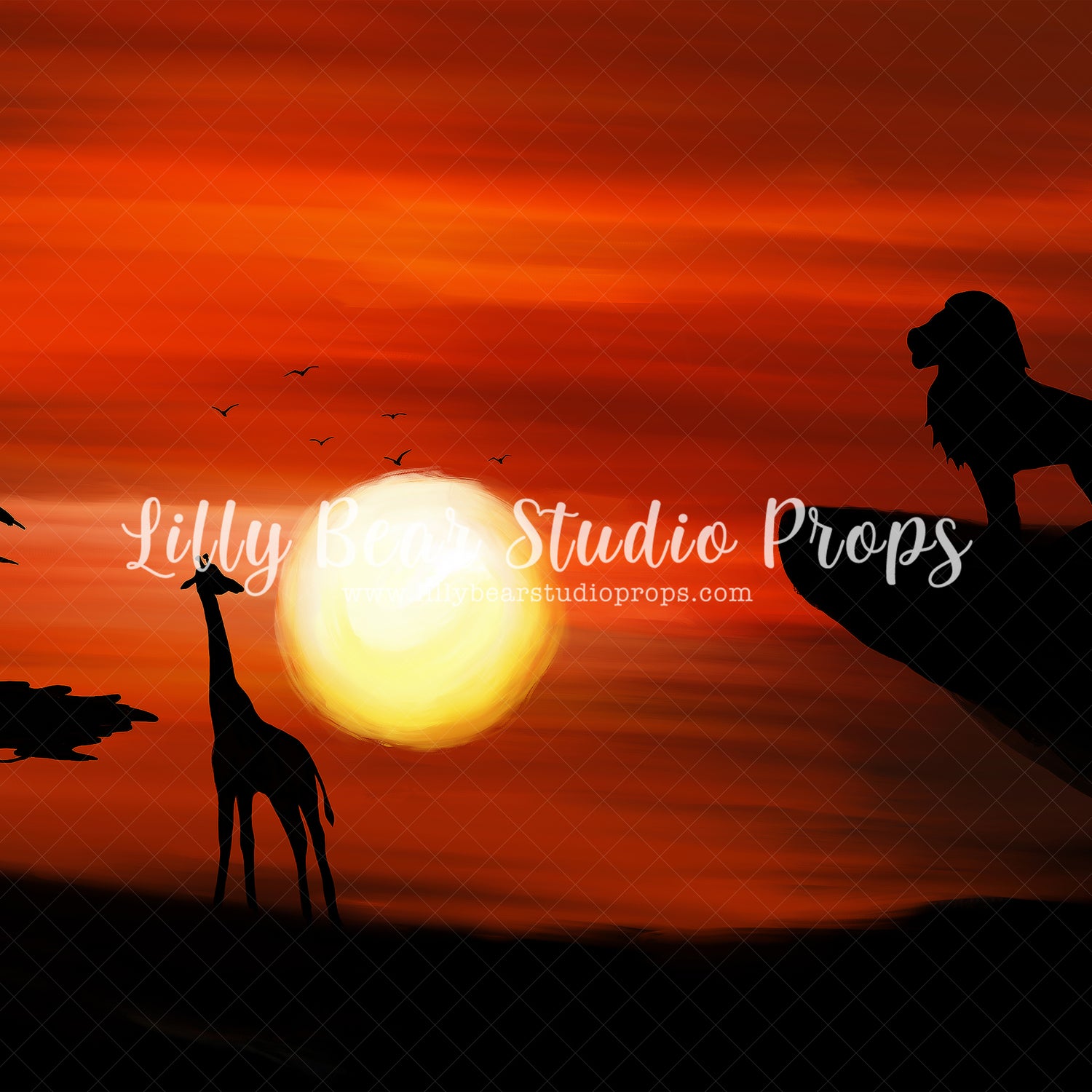 Mighty King by Jessica Ruth Photography sold by Lilly Bear Studio Props, boys - circle of life - disney - fantasy - han