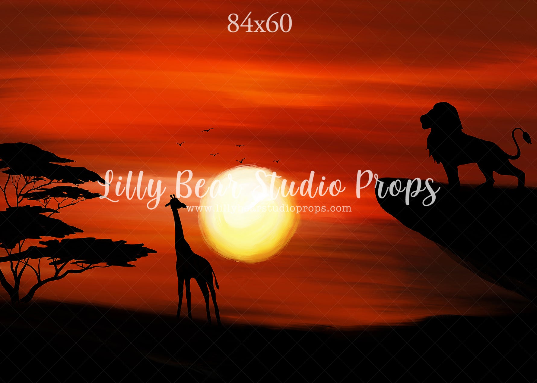 Mighty King by Jessica Ruth Photography sold by Lilly Bear Studio Props, boys - circle of life - disney - fantasy - han