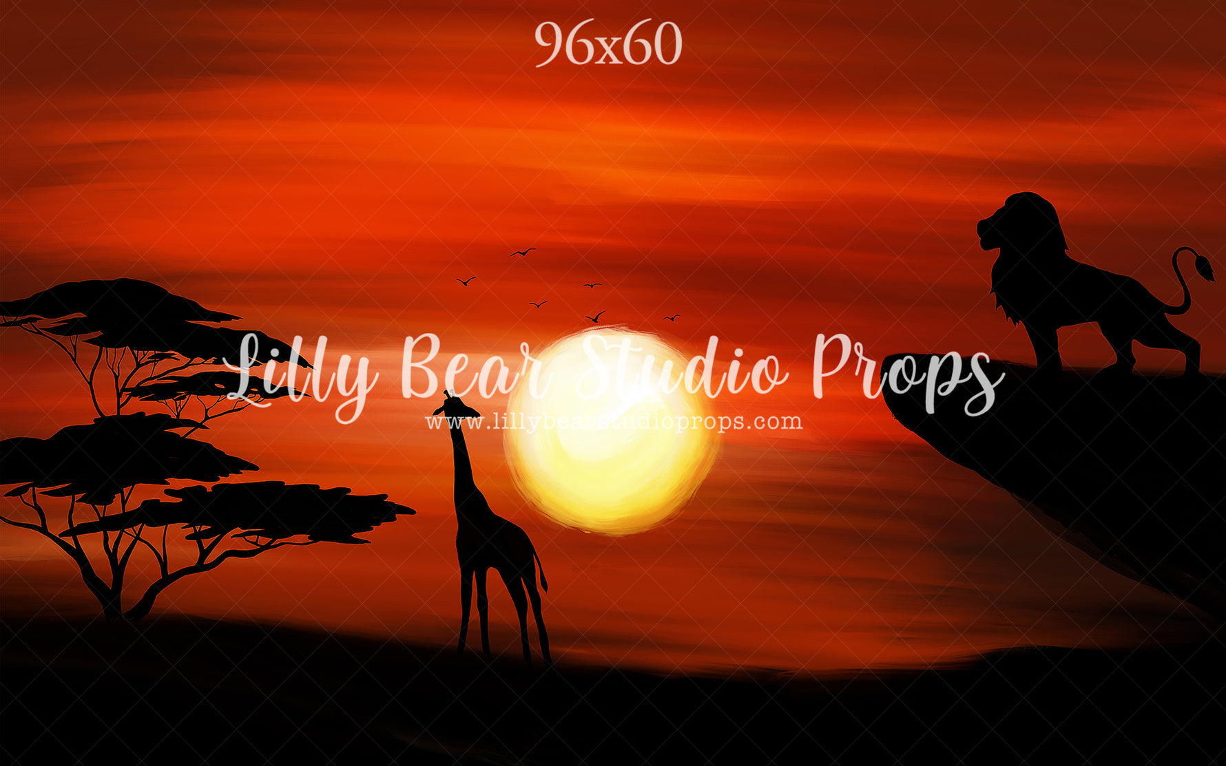 Mighty King by Jessica Ruth Photography sold by Lilly Bear Studio Props, boys - circle of life - disney - fantasy - han