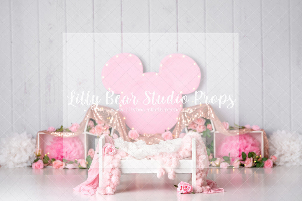 Minnie Roses - Digital Backdrop - Lilly Bear Studio Props, bowl, clouds, digital, minnie balloons, minnie mouse, newborn digital backdrop, pastel, rainbow, rainbow baby, round