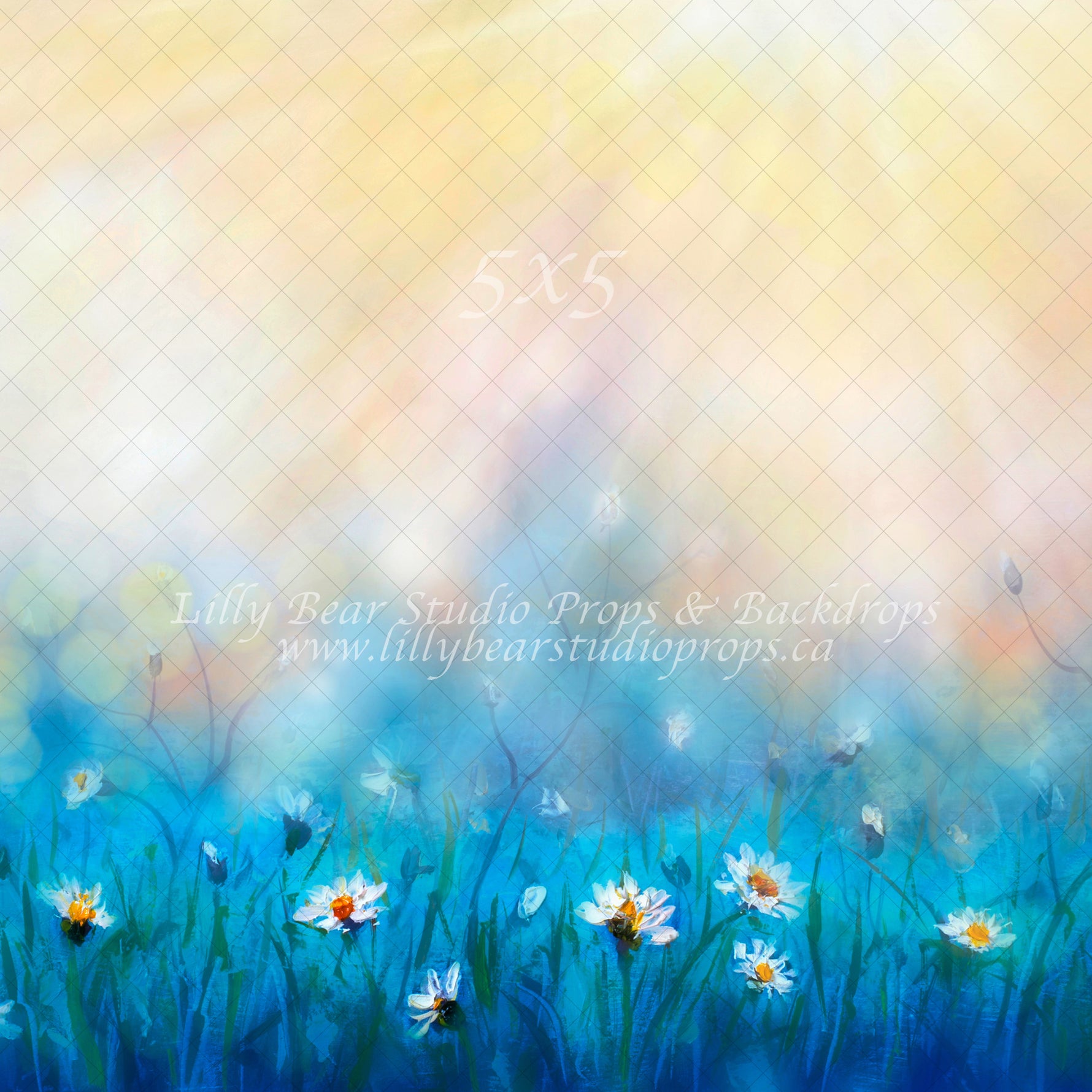 Morning Dew by Lilly Bear Studio Props sold by Lilly Bear Studio Props, art - blue - cake smash - daisies - daisy - eas