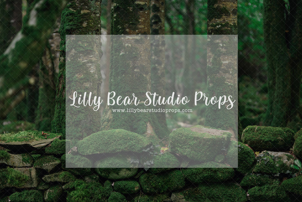 Moss Wall Woods - Lilly Bear Studio Props, barn door, barn doors, door, doors, doorway, FABRICS, floral, florals, flowers, garden, greenery, spring, spring barn doors