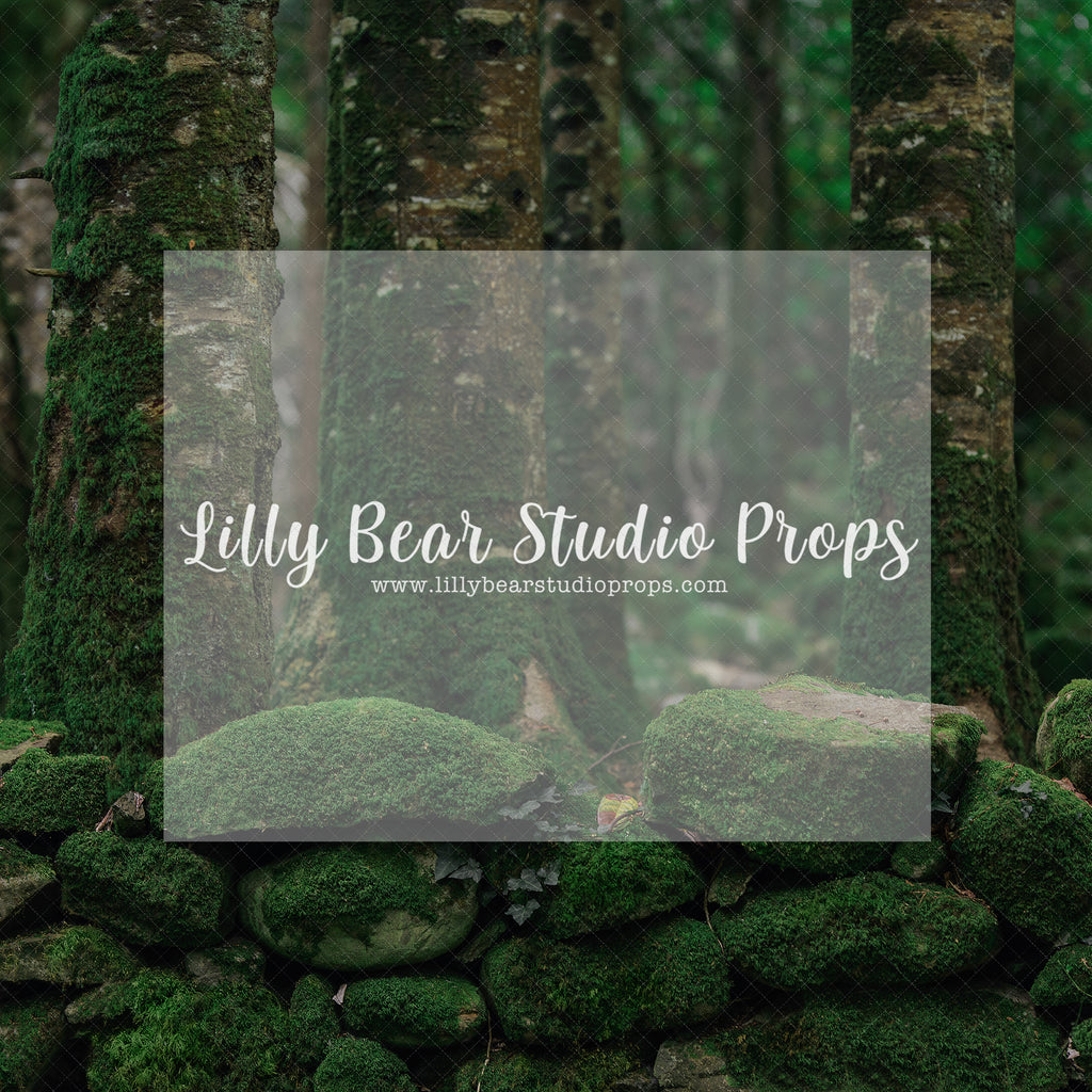 Moss Wall Woods - Lilly Bear Studio Props, barn door, barn doors, door, doors, doorway, FABRICS, floral, florals, flowers, garden, greenery, spring, spring barn doors