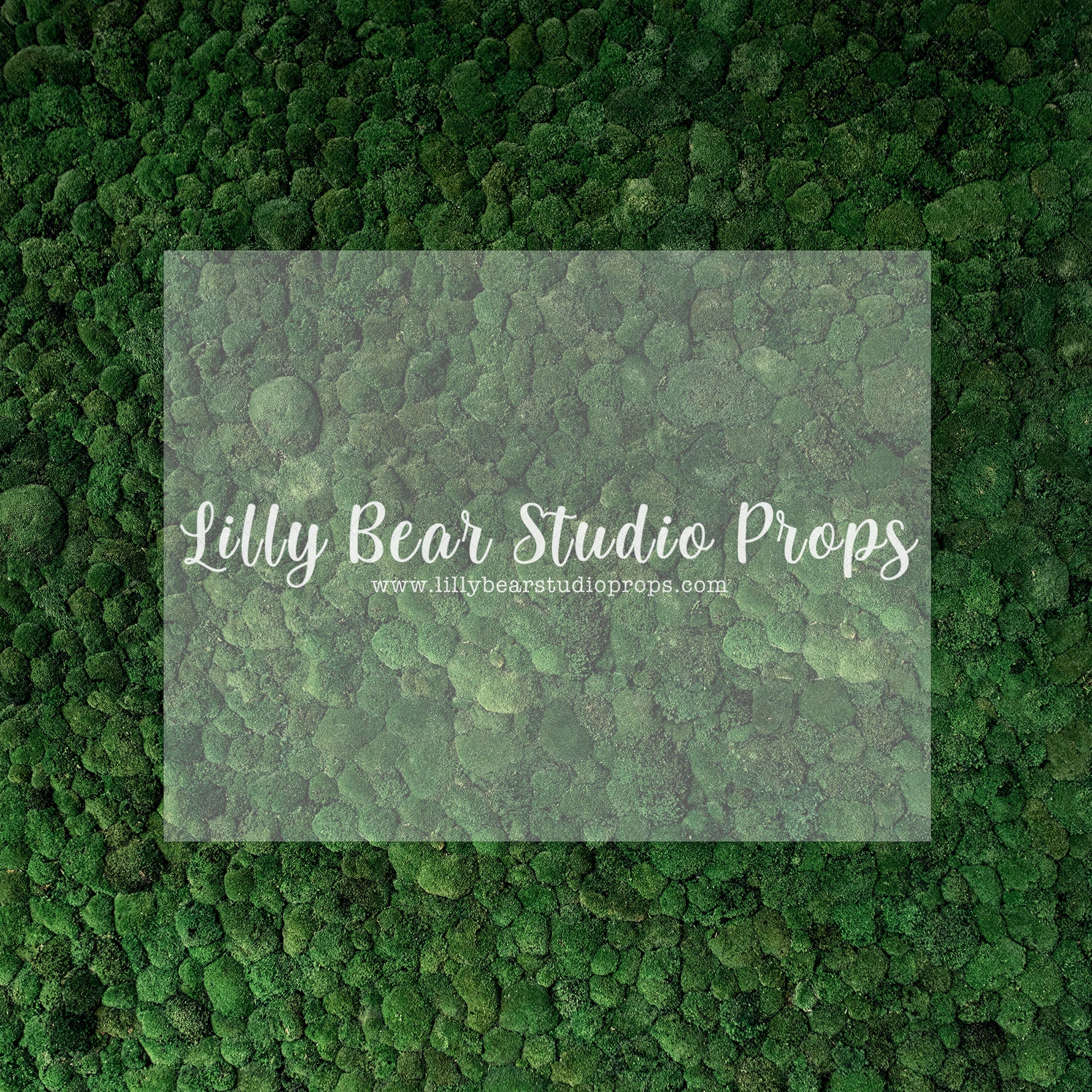 Mossy Row - Lilly Bear Studio Props, grass, grass field, grass garden, green grass, moss, moss floor
