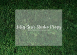 Mossy Row - Lilly Bear Studio Props, grass, grass field, grass garden, green grass, moss, moss floor