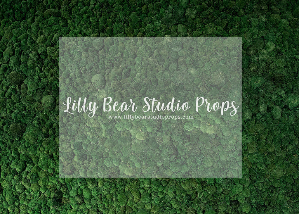 Mossy Row - Lilly Bear Studio Props, grass, grass field, grass garden, green grass, moss, moss floor