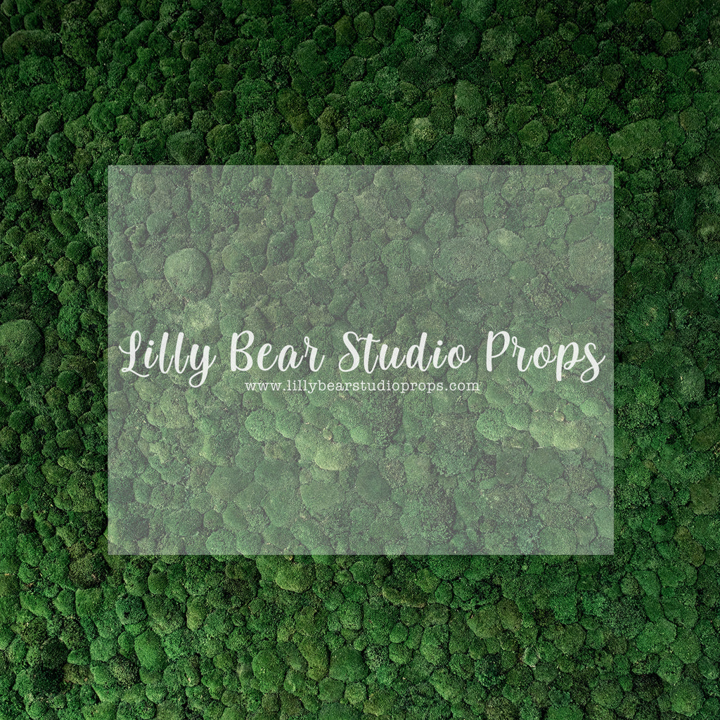 Mossy Row - Lilly Bear Studio Props, grass, grass field, grass garden, green grass, moss, moss floor