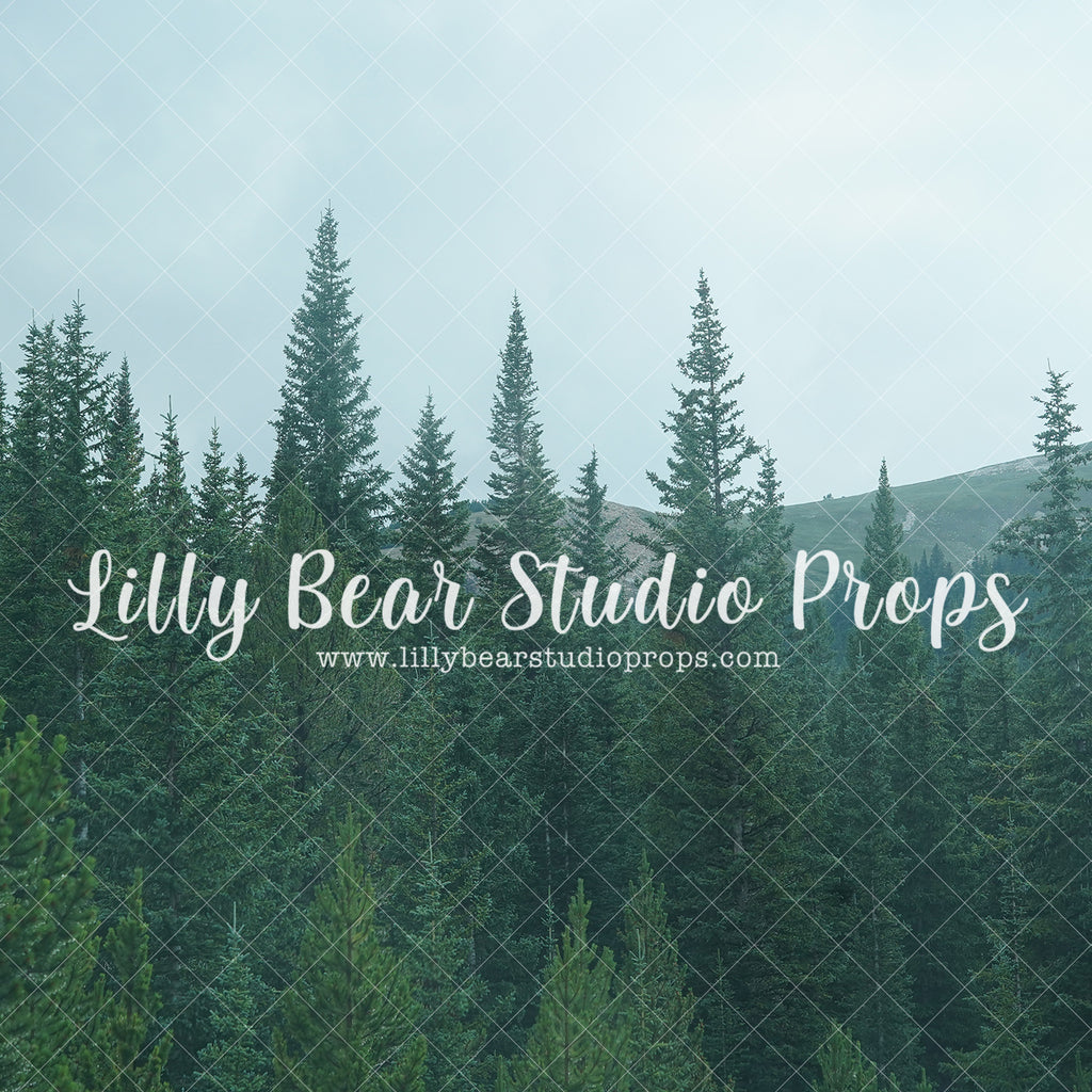 Mountain Forest - Lilly Bear Studio Props, camping, forest, little wild one, mountain forest, mountains, pine forest, pine tree forest, pine tree mountain, wild one