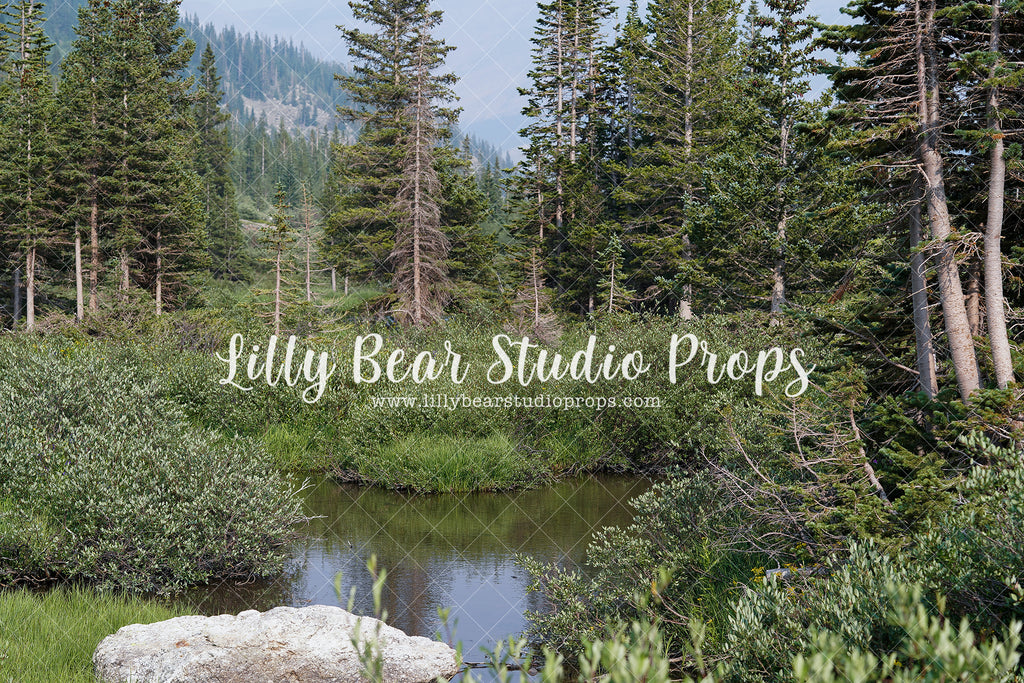 Mountain River - Lilly Bear Studio Props, camping, forest, little wild one, mountain forest, mountains, pine forest, pine tree forest, pine tree mountain, wild one