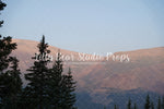 Mountain Sky - Lilly Bear Studio Props, camping, forest, little wild one, mountain forest, mountains, pine forest, pine tree forest, pine tree mountain, wild one
