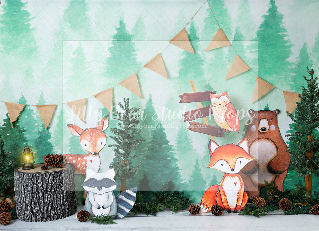 Mr. Fox and Friends - Lilly Bear Studio Props, forest animals, forest friends, little wild one, wild one, woodland animals, woodland friends