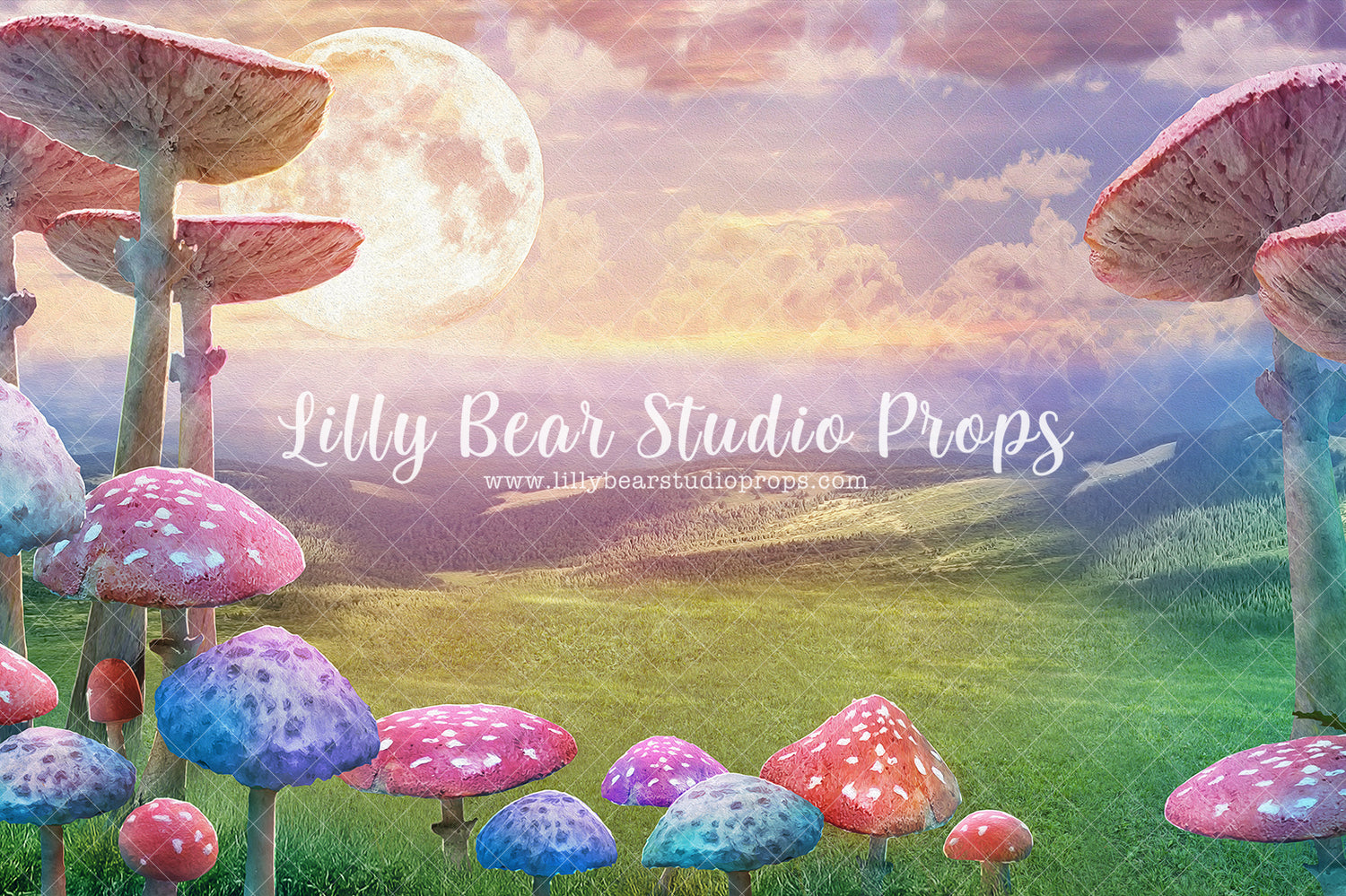 Mushroom Garden