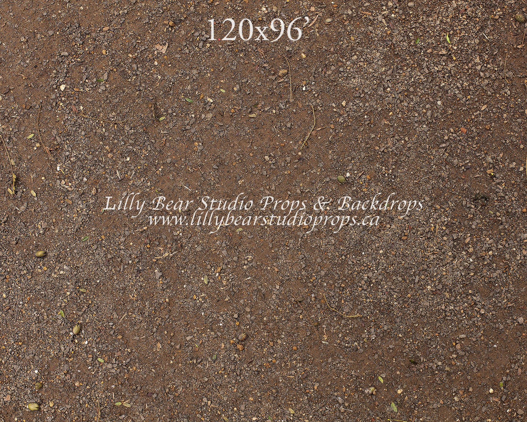 Natural Forest Floor by Lilly Bear Studio Props sold by Lilly Bear Studio Props, dirt - dirt floor - FLOORS - forest fl