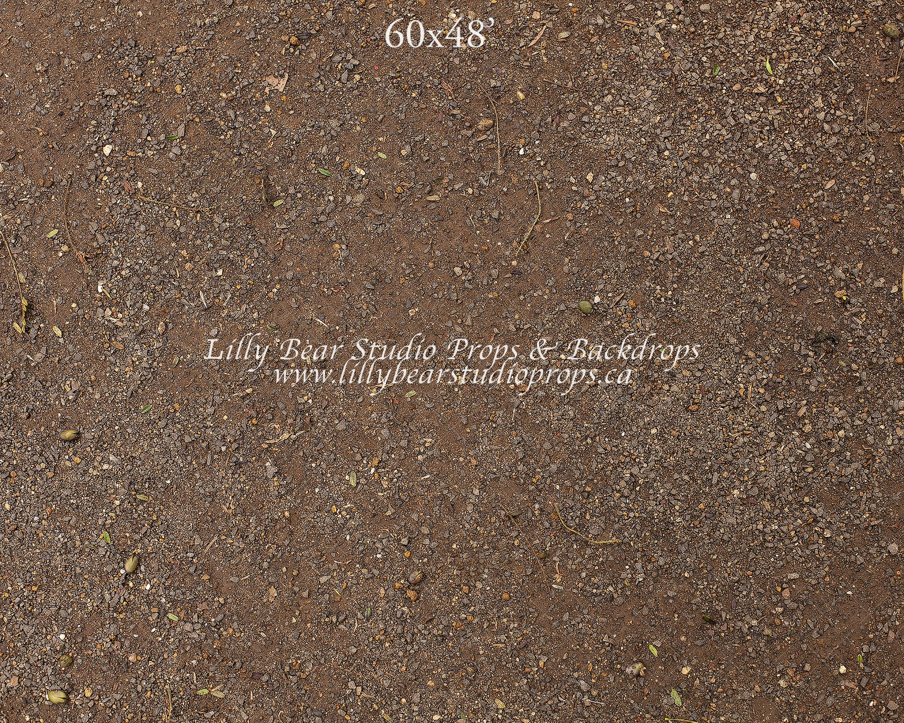 Natural Forest Floor by Lilly Bear Studio Props sold by Lilly Bear Studio Props, dirt - dirt floor - FLOORS - forest fl
