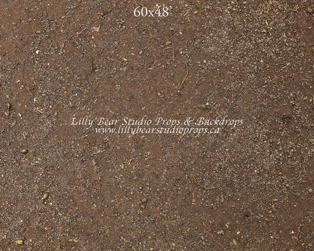 Natural Forest Floor by Lilly Bear Studio Props sold by Lilly Bear Studio Props, dirt - dirt floor - FLOORS - forest fl