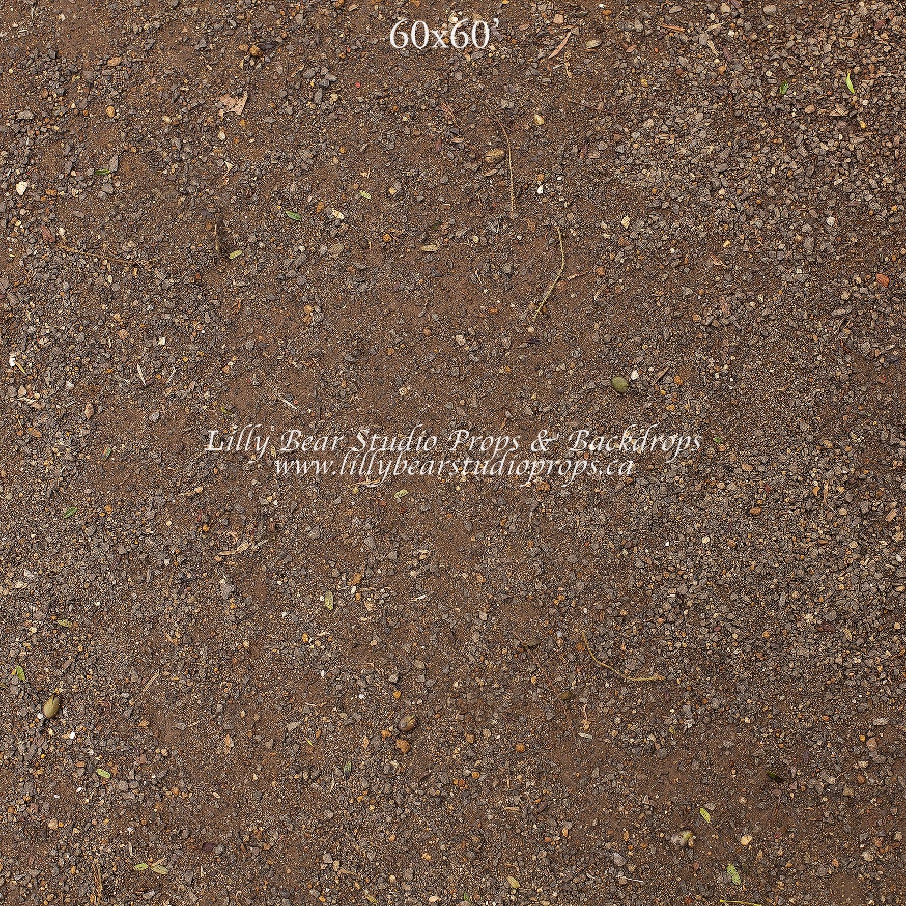 Natural Forest Floor by Lilly Bear Studio Props sold by Lilly Bear Studio Props, dirt - dirt floor - FLOORS - forest fl