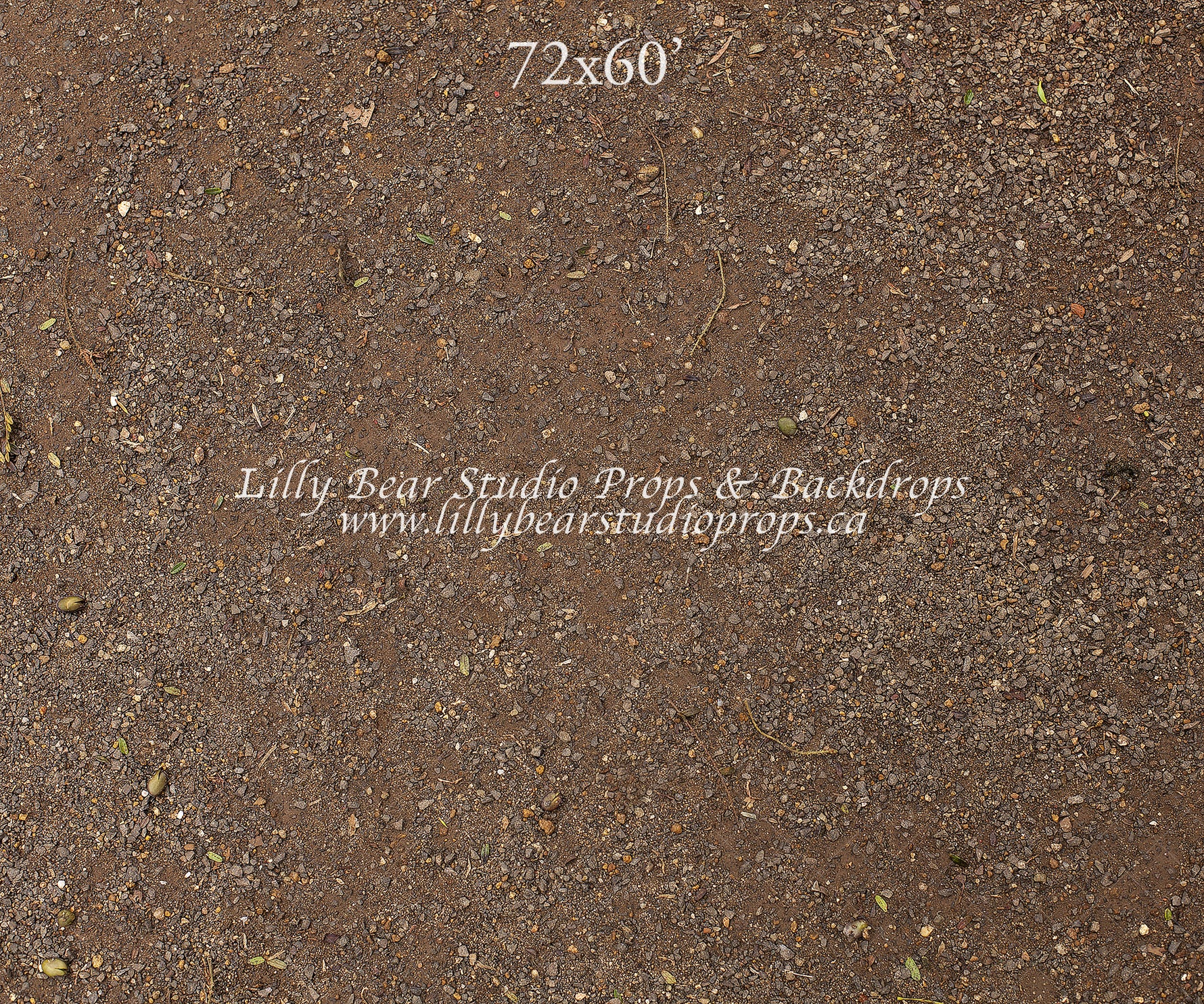 Natural Forest Floor by Lilly Bear Studio Props sold by Lilly Bear Studio Props, dirt - dirt floor - FLOORS - forest fl