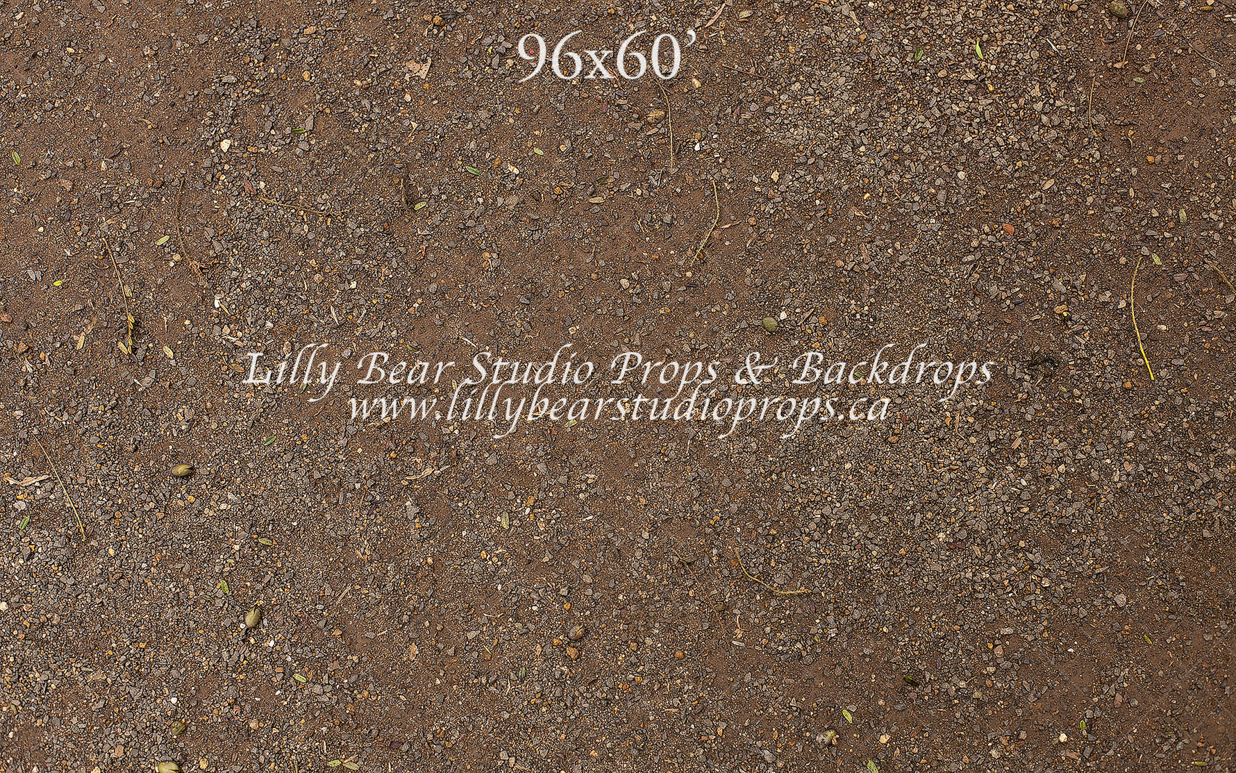 Natural Forest Floor by Lilly Bear Studio Props sold by Lilly Bear Studio Props, dirt - dirt floor - FLOORS - forest fl