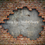 New York Brick Wall by Lilly Bear Studio Props sold by Lilly Bear Studio Props, brick - Brick Wall - cracked brick - di