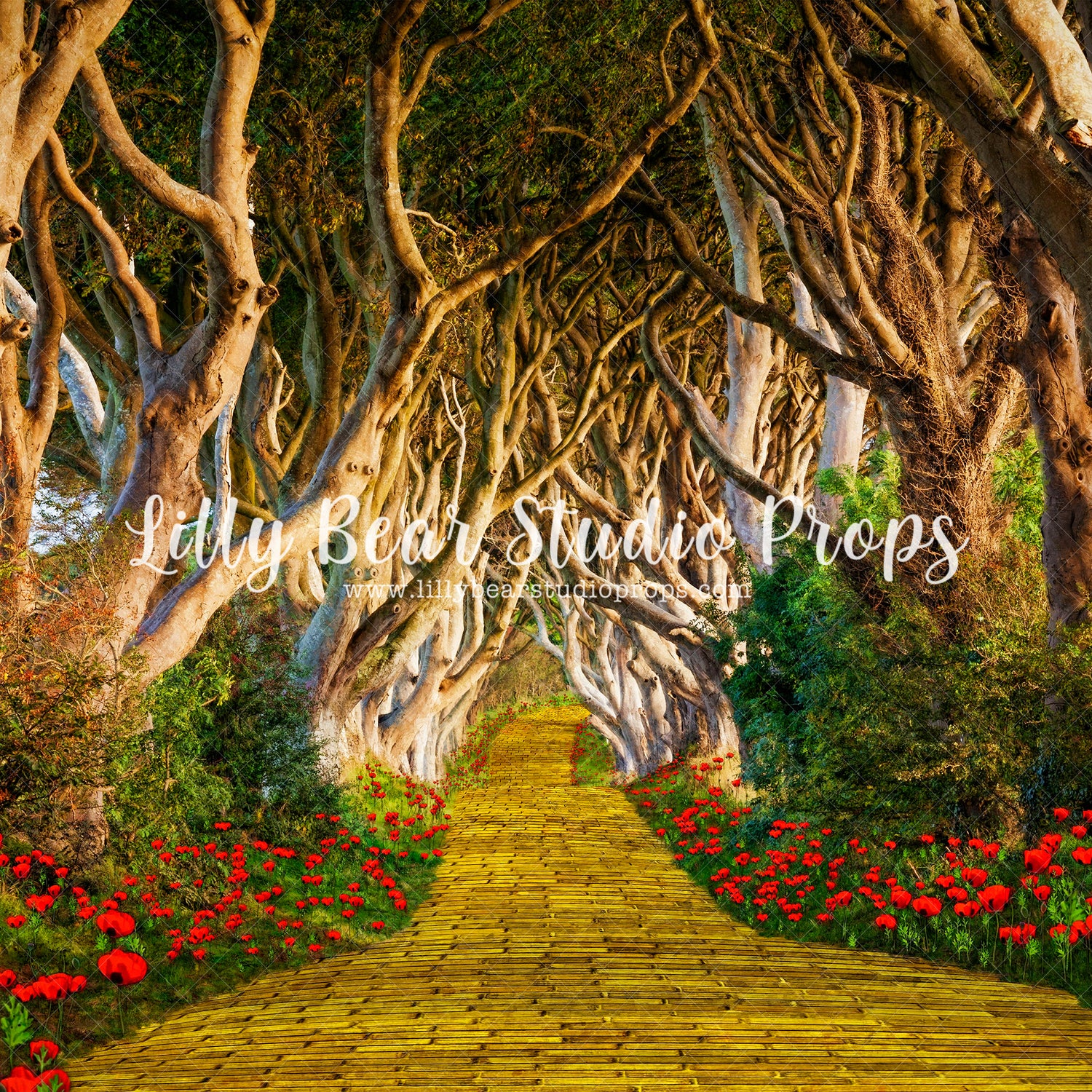 Into The Woods by Lilly Bear Studio Props sold by Lilly Bear Studio Props, boys - disney - dorothy - emerald city - fan