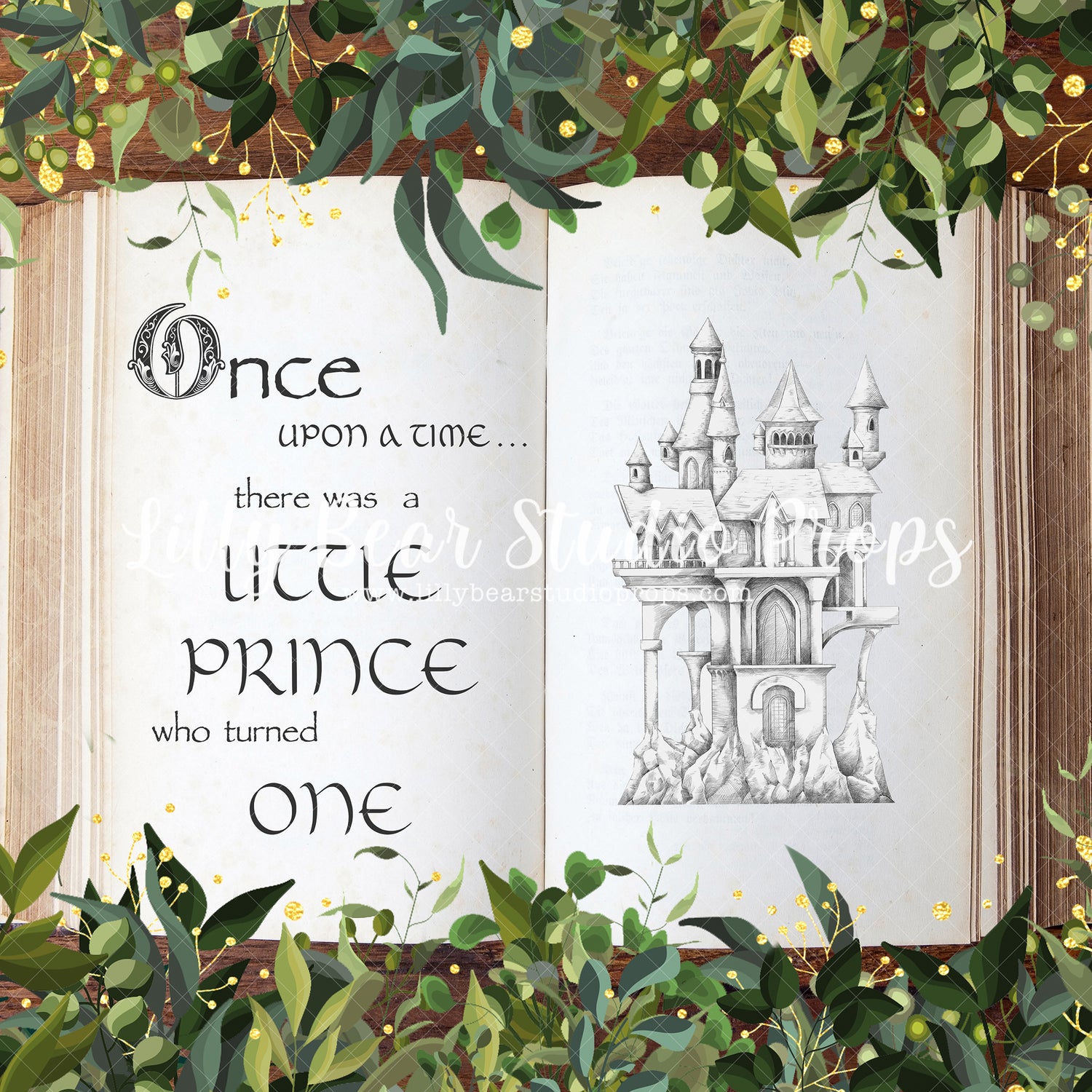 One Little Prince - Lilly Bear Studio Props, beauty and the beast, fantasy, girls, hand painted