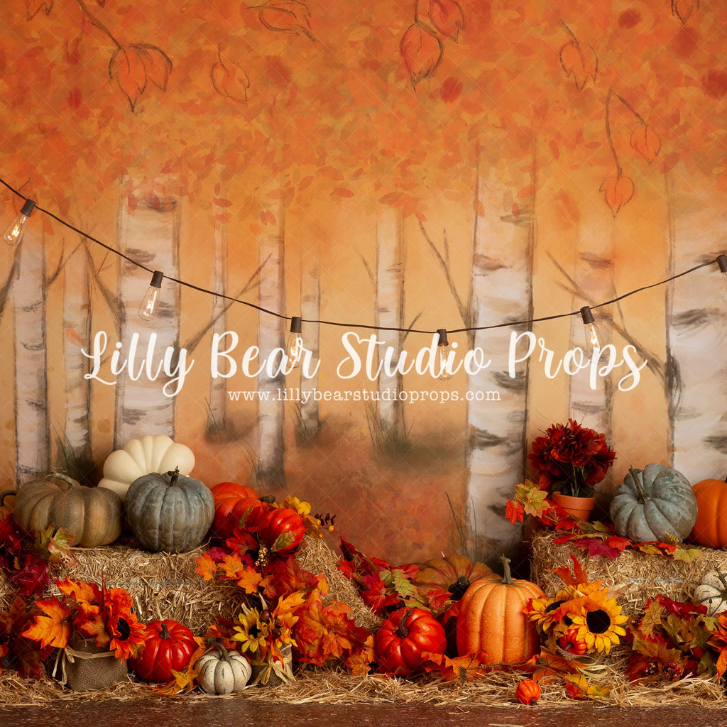 Orange You A Pumpkin by Jessica Ruth Photography sold by Lilly Bear Studio Props, autumn - autumn colours - autumn flow