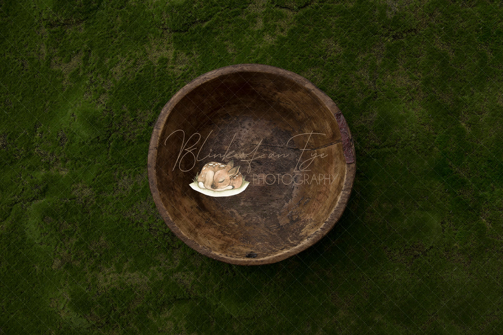 Organic Greenery Bowl Digital Backdrop - Lilly Bear Studio Props, bowl, digital backdrop, gree, green moss, moss