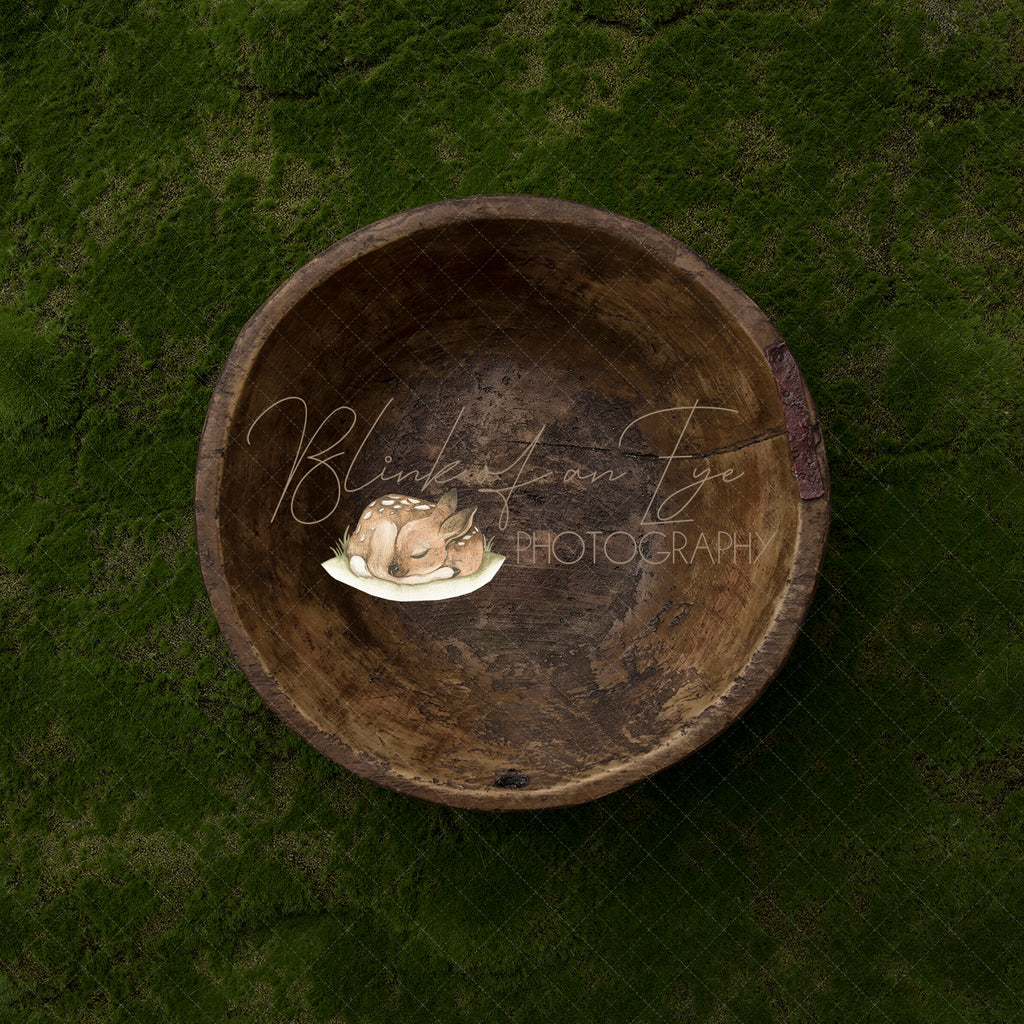 Organic Greenery Bowl Digital Backdrop - Lilly Bear Studio Props, bowl, digital backdrop, gree, green moss, moss