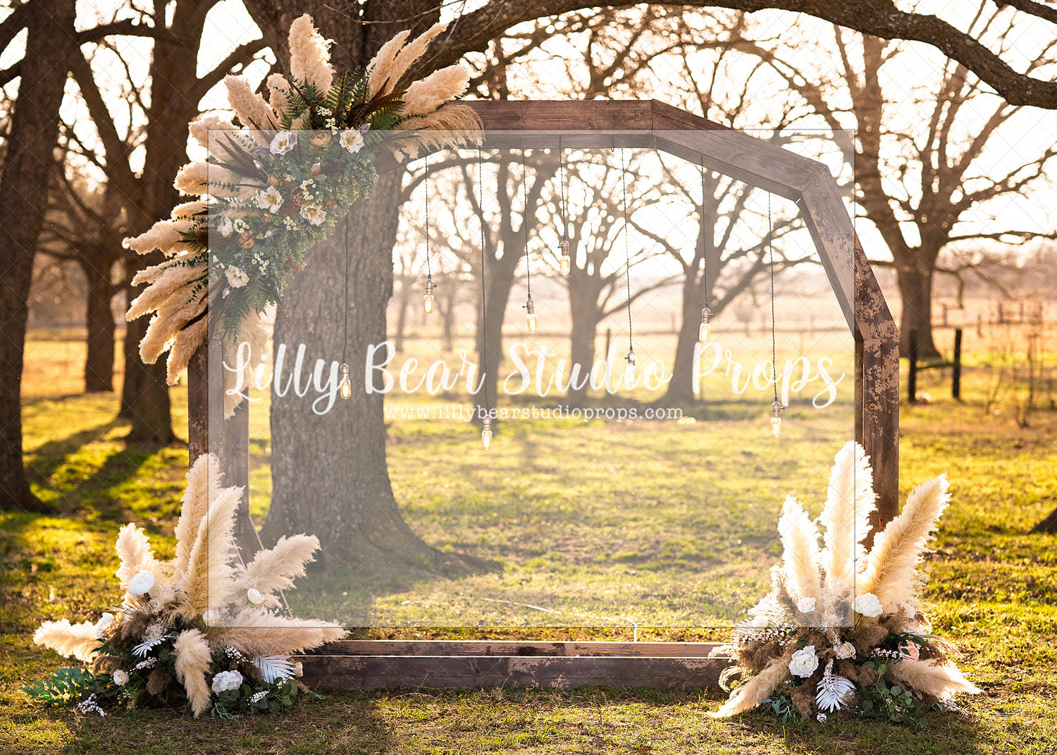 Pampas Arbour - Lilly Bear Studio Props, arbour, bohemian, bohemian arbour, bohemian arch, boho, boho arch, boho chic, boho garden, boho greenery, boho wood, floral boho, pampas, spring, spring arbour, spring boho