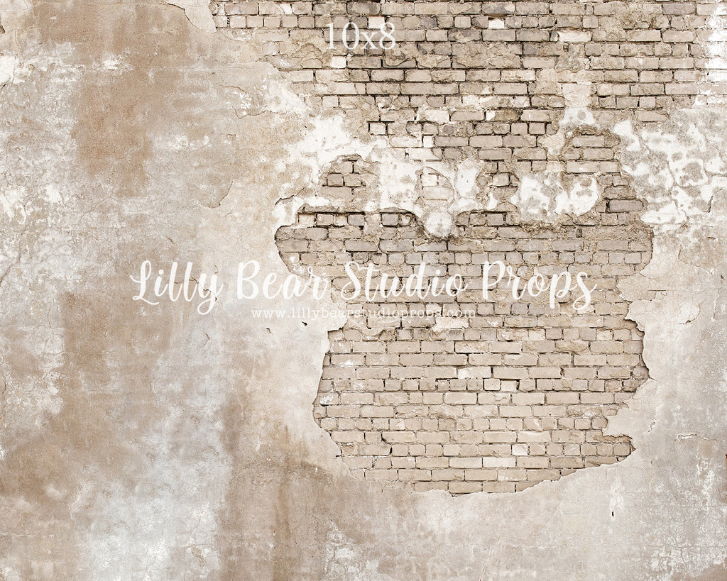 Parisian Brick Wall by Lilly Bear Studio Props sold by Lilly Bear Studio Props, brick - Brick Wall - cracked brick - cr