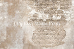 Parisian Brick Wall by Lilly Bear Studio Props sold by Lilly Bear Studio Props, brick - Brick Wall - cracked brick - cr