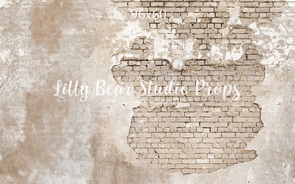 Parisian Brick Wall by Lilly Bear Studio Props sold by Lilly Bear Studio Props, brick - Brick Wall - cracked brick - cr