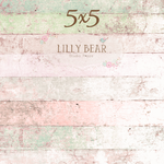 Pastel Planks Horizontal Wood Planks Floor - Lilly Bear Studio Props, FABRICS, FLOORS, mat floors