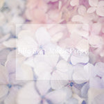 Pastel Perfect - Lilly Bear Studio Props, fine art floral, floral petals, flowers, pastel floral, pastel pink flowers, pastel pink purple, pink flowers, purple flowers