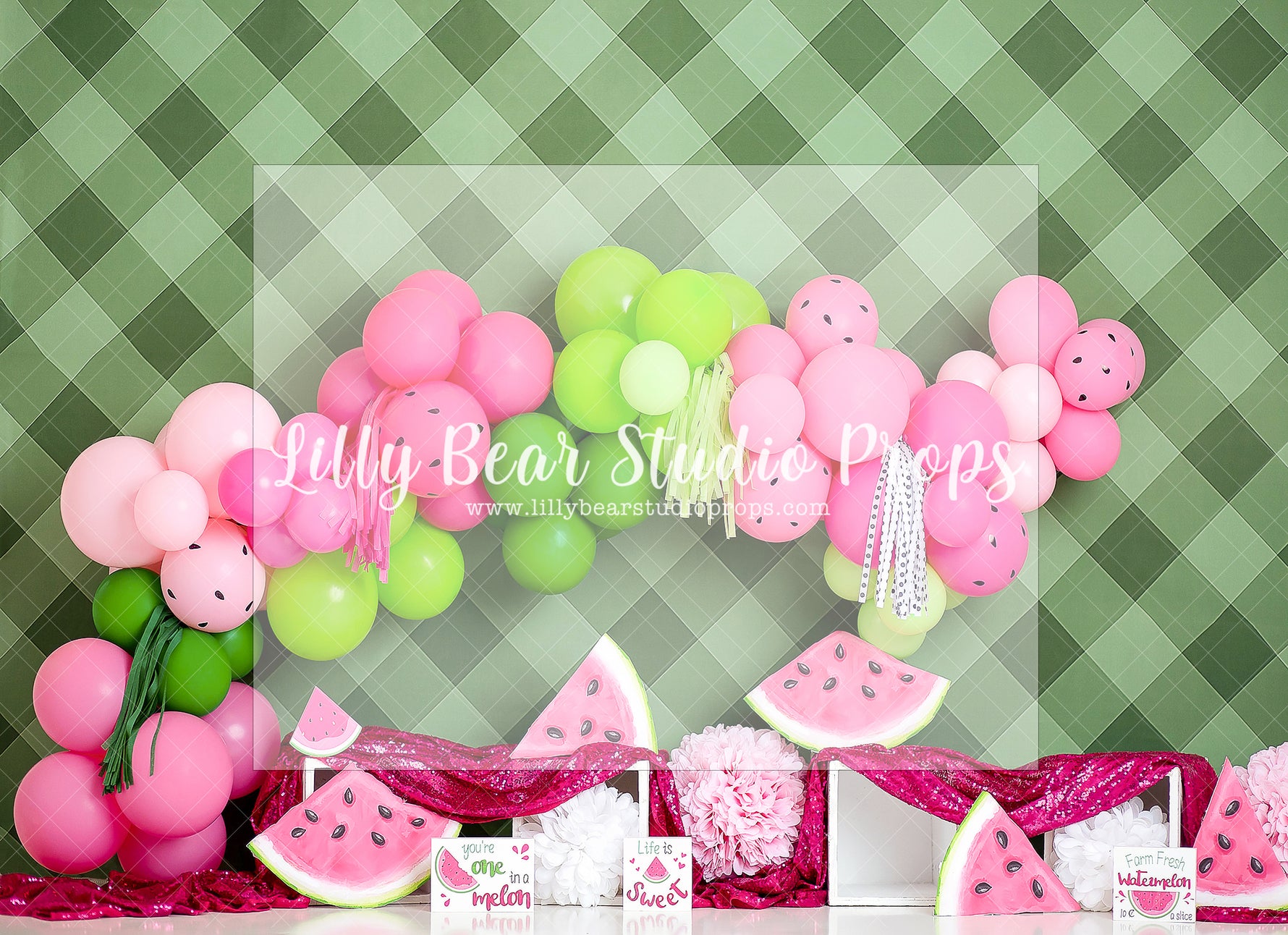 MY MELON PARTY - Lilly Bear Studio Props, fresh fruit, fruit, red fruit, watermelon, watermelon farm, watermelon seeds, watermelon slices, watermelon stand, watermelon stripes, watermelon sugar high, watermelons, Wrinkle Free Fabric