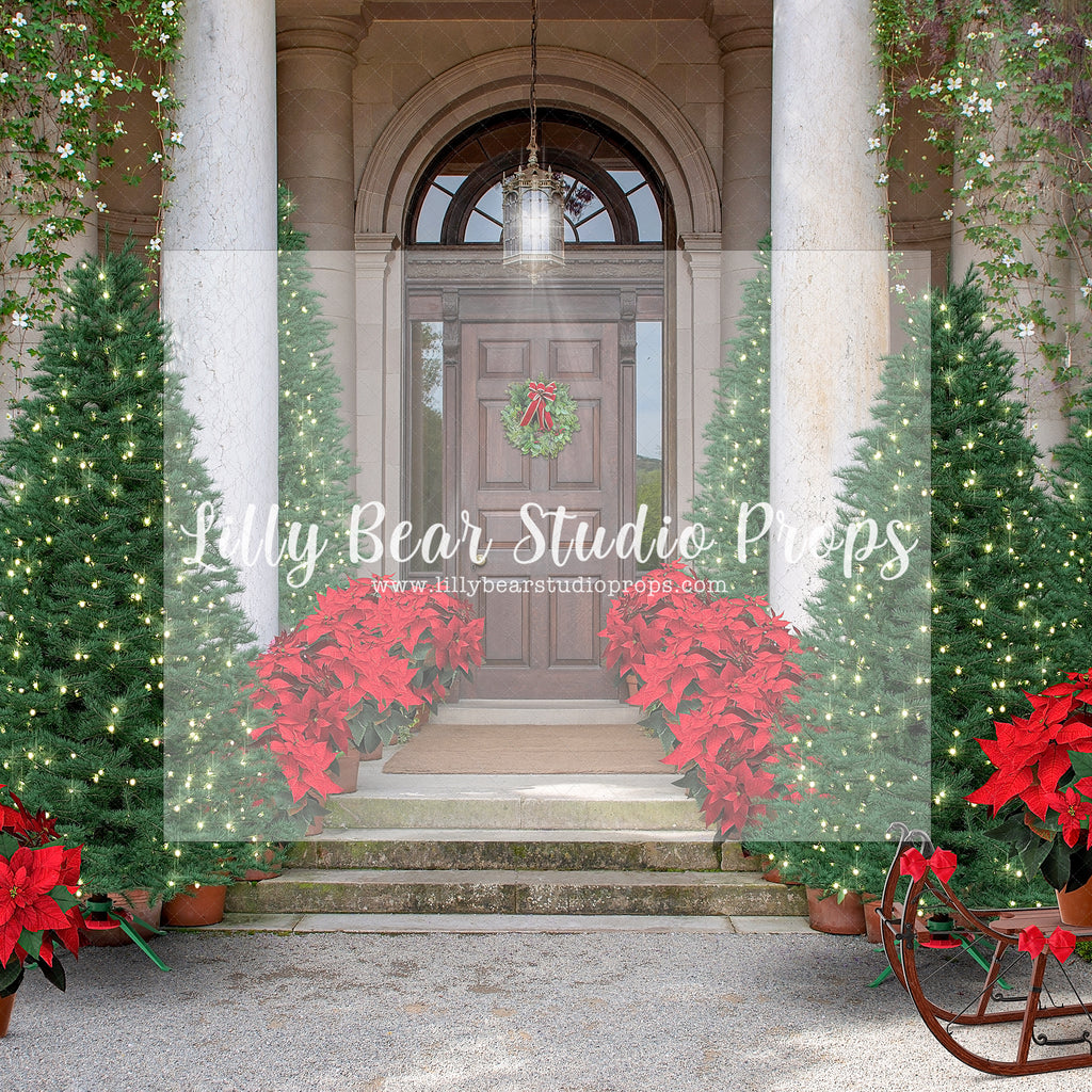 Poinsettia Doorway - Lilly Bear Studio Props, christmas, Cozy, Decorated, Festive, Giving, Holiday, Holy, Hopeful, Joyful, Merry, Peaceful, Peacful, Red & Green, Seasonal, Winter, Xmas, Yuletide