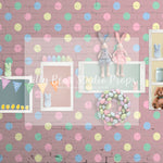 Polka Dot Bunny Wall-Pink - Lilly Bear Studio Props, bunnies, bunny, easter, easter backdrop, easter bunny, easter doors, easter egg, easter flowers, easter mini, FABRICS, happy easter, some bunnies one, some bunny is one, some bunny's one, spring bunny