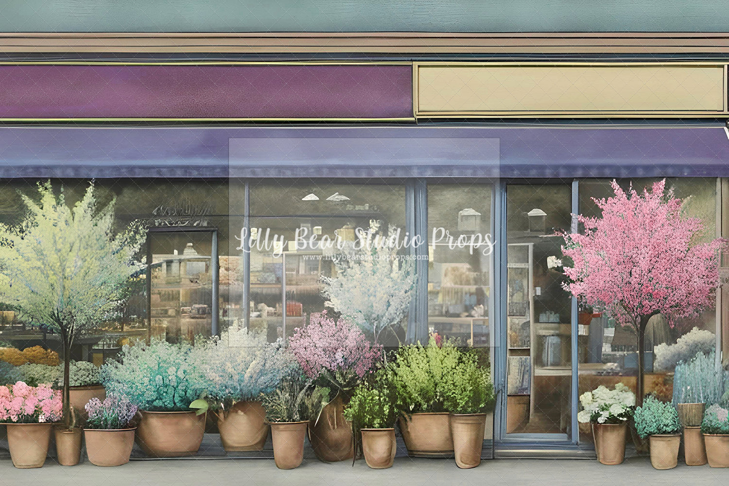 Potted Flowers Shop Front