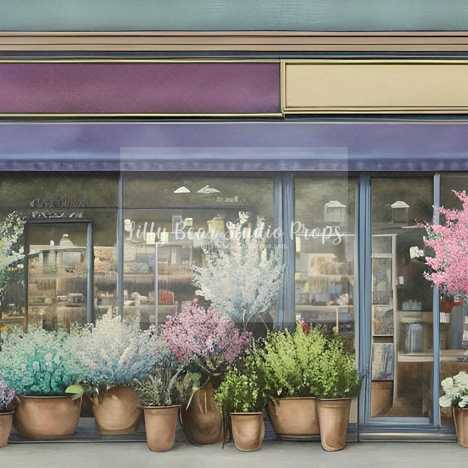 Potted Flowers Shop Front
