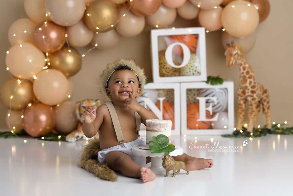 Safari ONE by Sweet Memories Photos By Carolyn sold by Lilly Bear Studio Props, animal - animals - baby animal - baby j