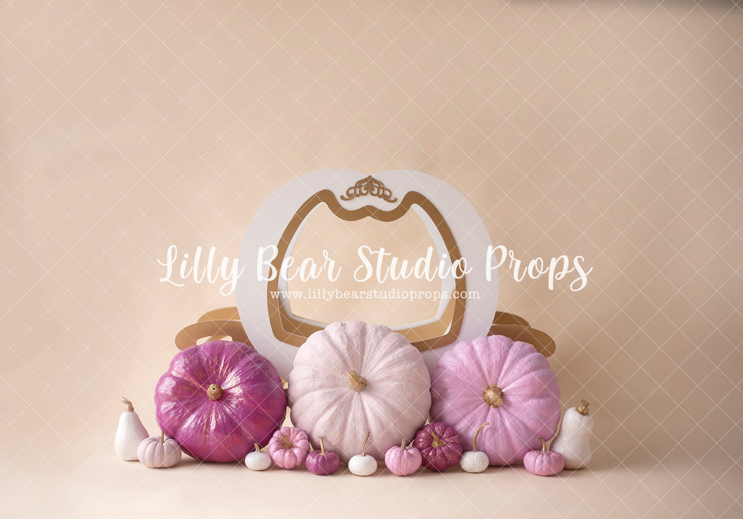 Princess Pumpkin Carriage - Lilly Bear Studio Props, balloon flowers, balloon wall, balloons and flowers, blooming flowers, cake smash, cinderella, cinderella carriage, floral pink, flower garden, flowers, fuchsia, gold balloons, pastel, pink and gold balloons, pink and white, pink and white balloons, pink balloons, pink floral, pink flower, pink flowers, pink white and gold, princess carriage, pumpkin carriage, shades of purple, spring flowers, white balloons