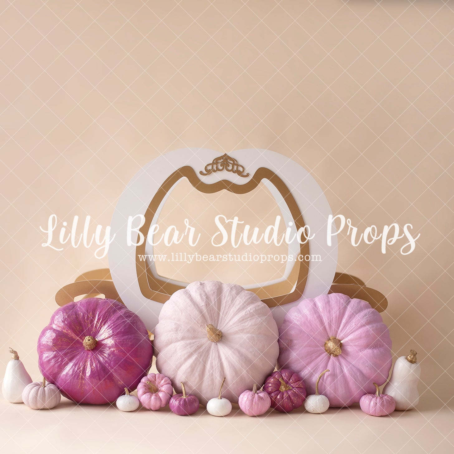 Princess Pumpkin Carriage - Lilly Bear Studio Props, balloon flowers, balloon wall, balloons and flowers, blooming flowers, cake smash, cinderella, cinderella carriage, floral pink, flower garden, flowers, fuchsia, gold balloons, pastel, pink and gold balloons, pink and white, pink and white balloons, pink balloons, pink floral, pink flower, pink flowers, pink white and gold, princess carriage, pumpkin carriage, shades of purple, spring flowers, white balloons