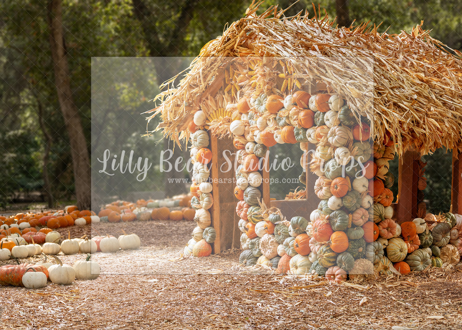 Pumpkin House Side - Lilly Bear Studio Props, christmas, Decorated, fall, fall colors, fall colours, fall forest, fall leaves, fall mini, fall pumpkins, fall season, falling leaves, farm pickup, Giving, halloween, Peaceful, pickup, pickup truck, pumpkin field, spooky halloween
